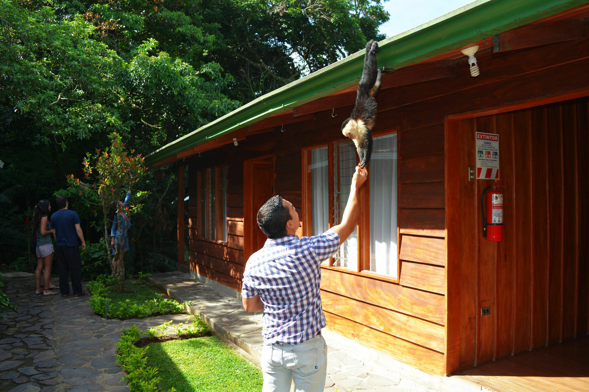 Santa Elena Hostel Resort Monteverde Eksteriør billede