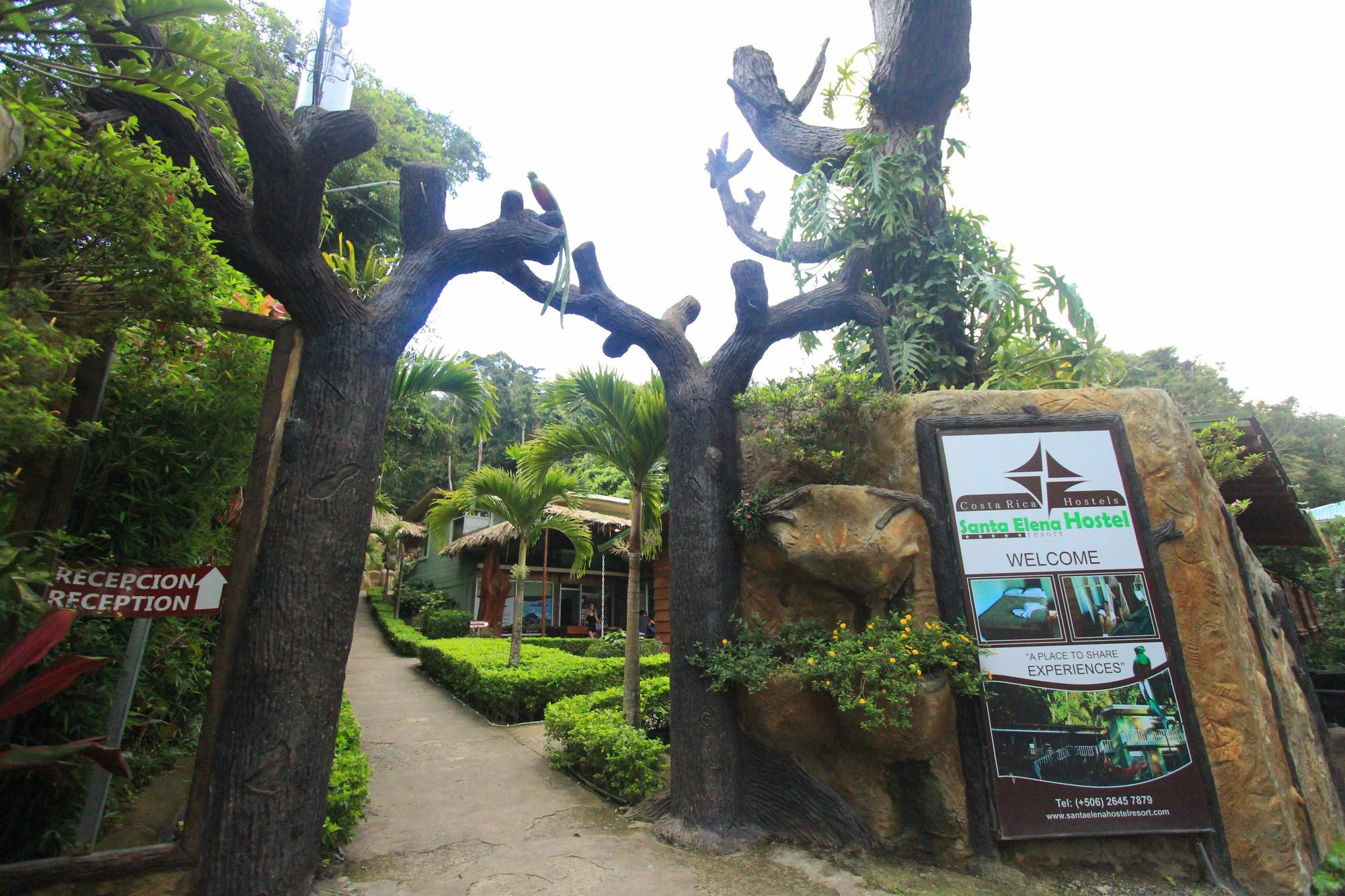 Santa Elena Hostel Resort Monteverde Eksteriør billede