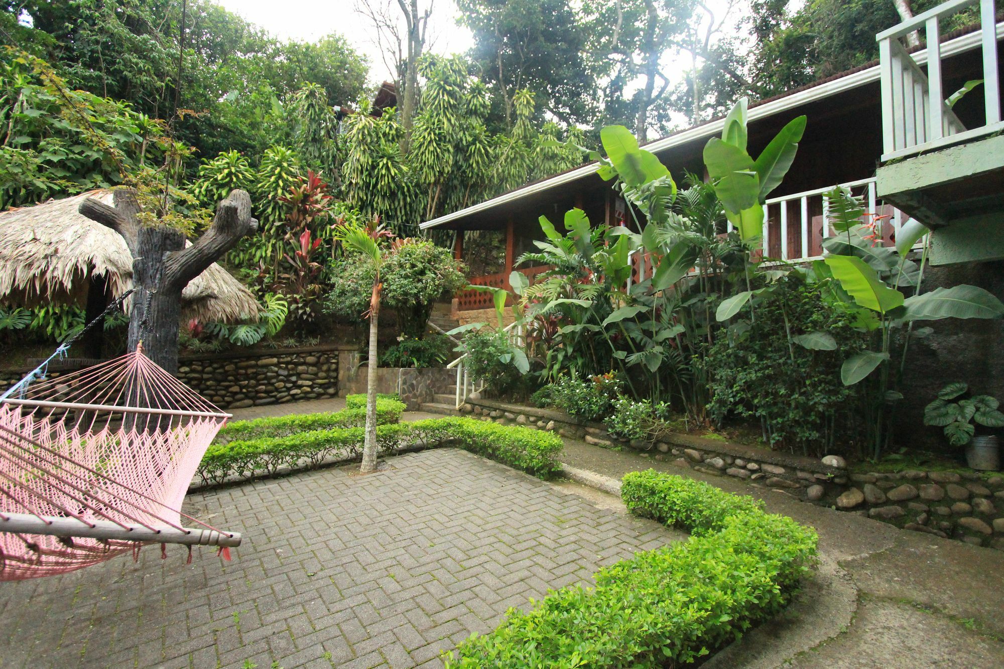 Santa Elena Hostel Resort Monteverde Eksteriør billede