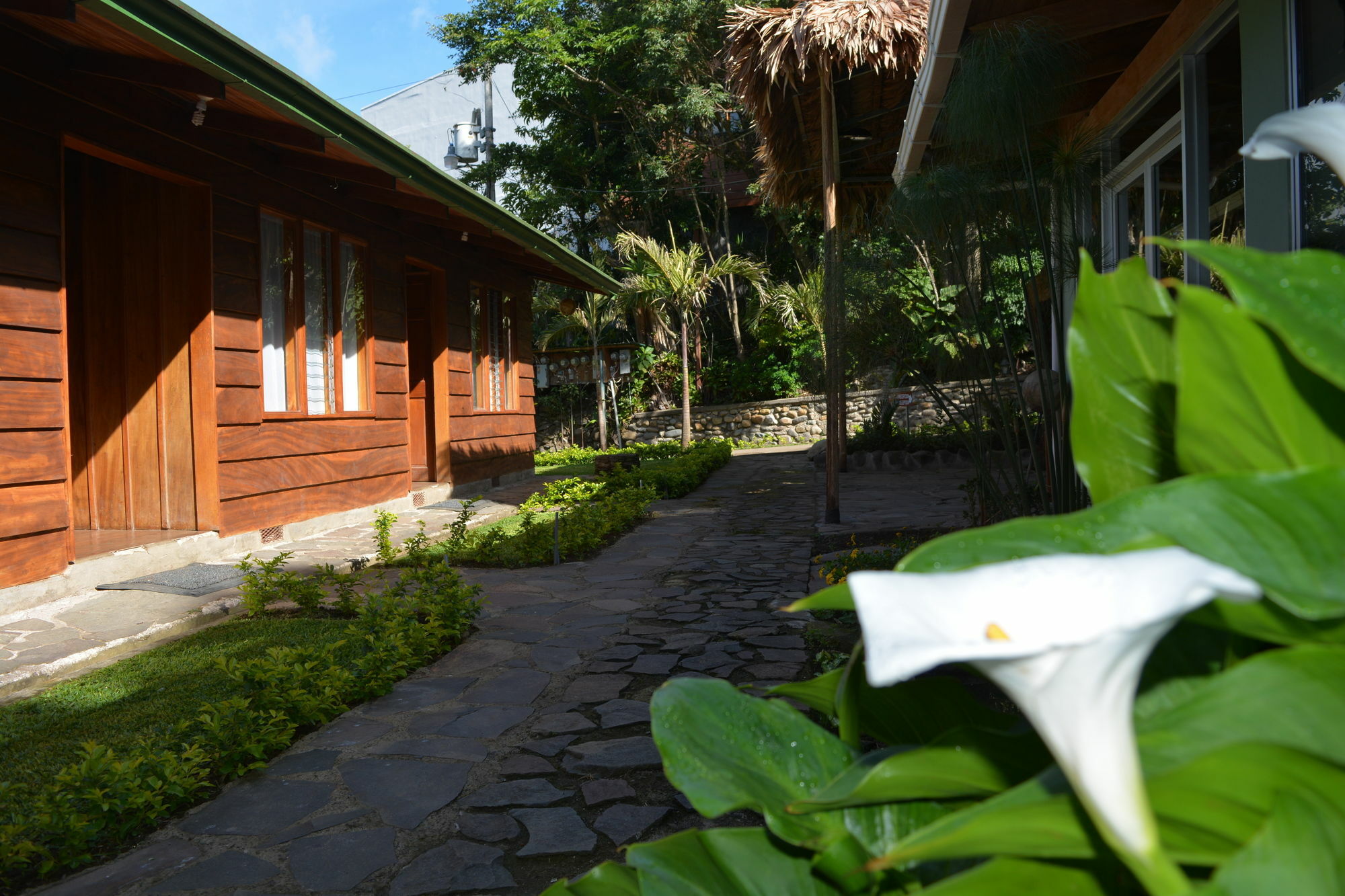 Santa Elena Hostel Resort Monteverde Eksteriør billede